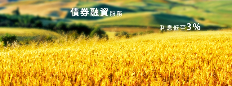 京華山一國際(香港)有限公司