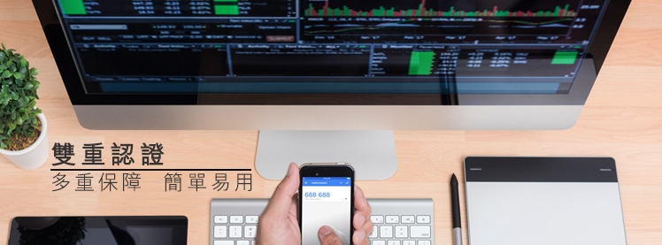 京華山一國際(香港)有限公司