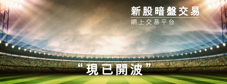 京華山一國際(香港)有限公司