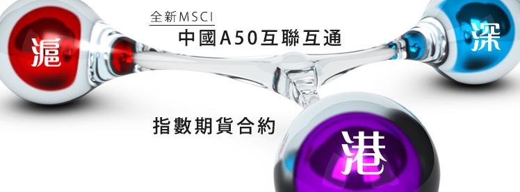京華山一國際(香港)有限公司